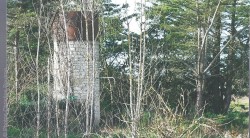 17 Boyardville Commune de Saint Georges d'Oléron Impasse de Cayenne