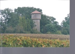 Orientation: 1 17 Saint-Fort-de-Gironde Ligaudon rue des Abeilles