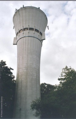 Orientation: 1 17 Saint-Sulpice-de-Royan Bois des quarts