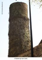 37-Saint-Cyr-sur-Loire-2