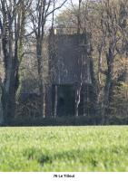 76-Le-Tilleul-